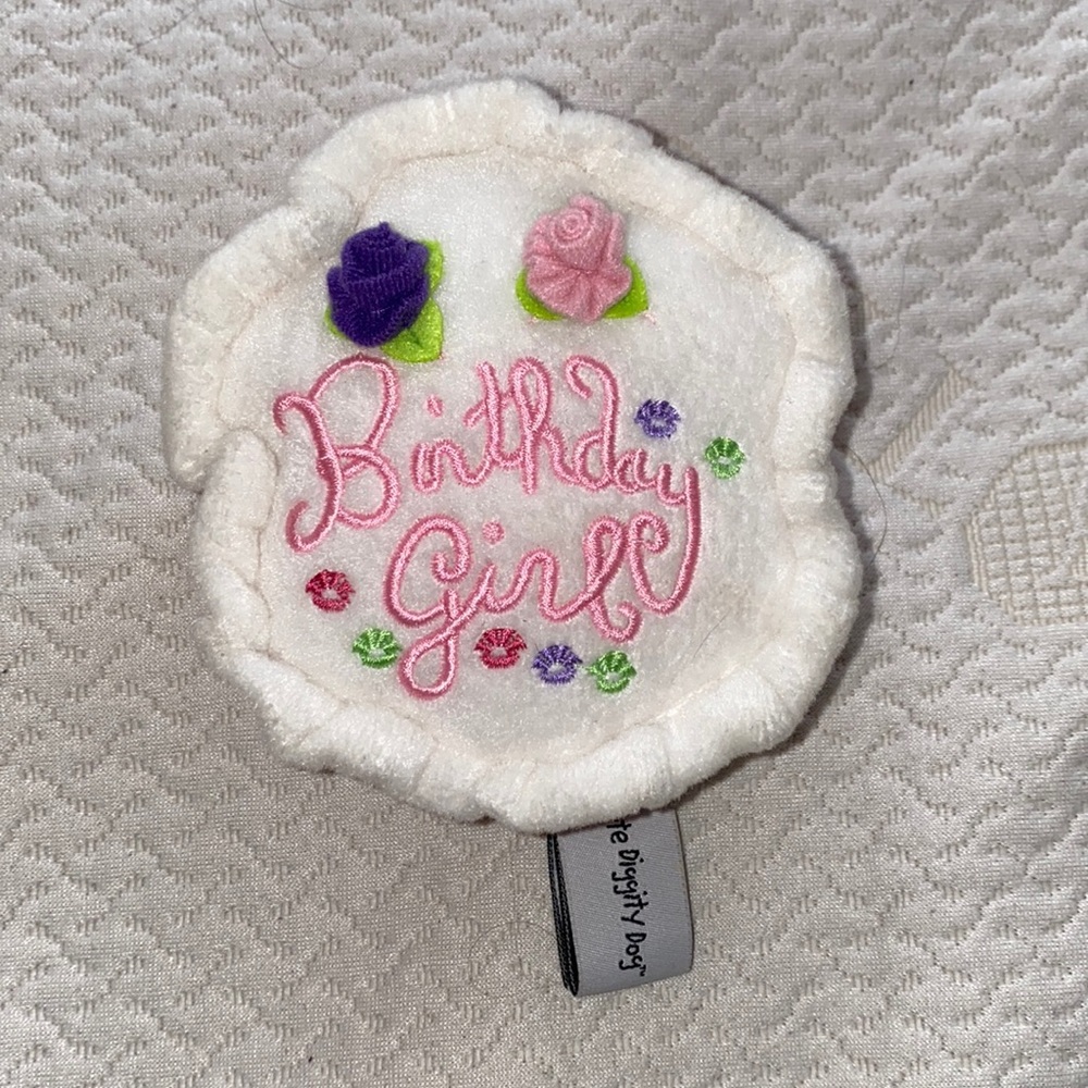 BIRTHDAY CAKE GIRL DOG TOY NWOT